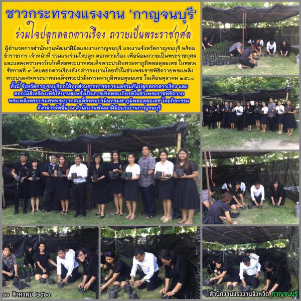 Mol-Thailand